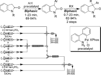 Palladium-Catalyzed &alpha;-Arylation/Alkylation Sequence