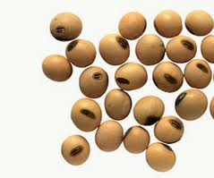 Epoxidation of soybean oil 